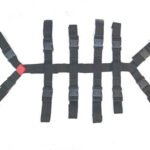 Spider Harness with Buckles