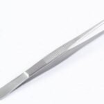 Dissecting Forceps 16cm Plain