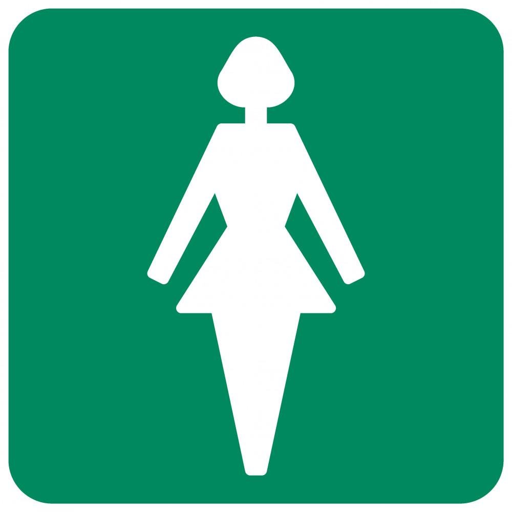 Ladies Toilet safety sign Ladies Toilet safety sign